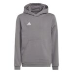 adidas Unisex niños Entrada 22 Sweat Hoodie, Team Grey Four, 5-6 Years