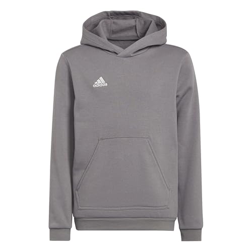 adidas Unisex niños Entrada 22 Sweat Hoodie, Team Grey Four, 5-6 Years