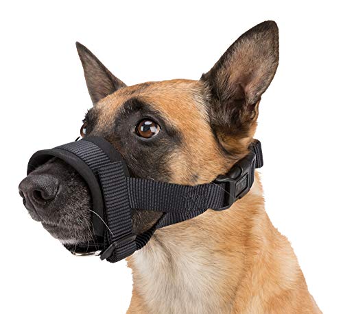 TRIXIE Bozal Lazo Nylon, Entrenamiento, XL-XXL, Negro, Perro
